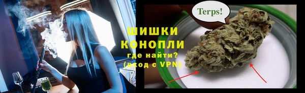 первитин Заводоуковск